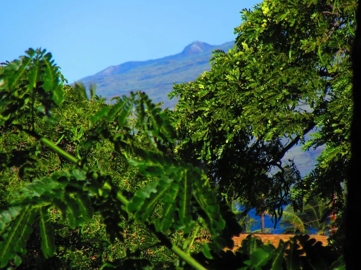 Apartment Maui-Licious By The Beach Kihei